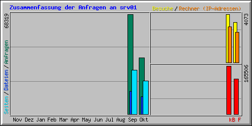 Zusammenfassung der Anfragen an srv01